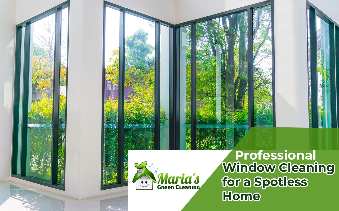 Tools used for professional window cleaning