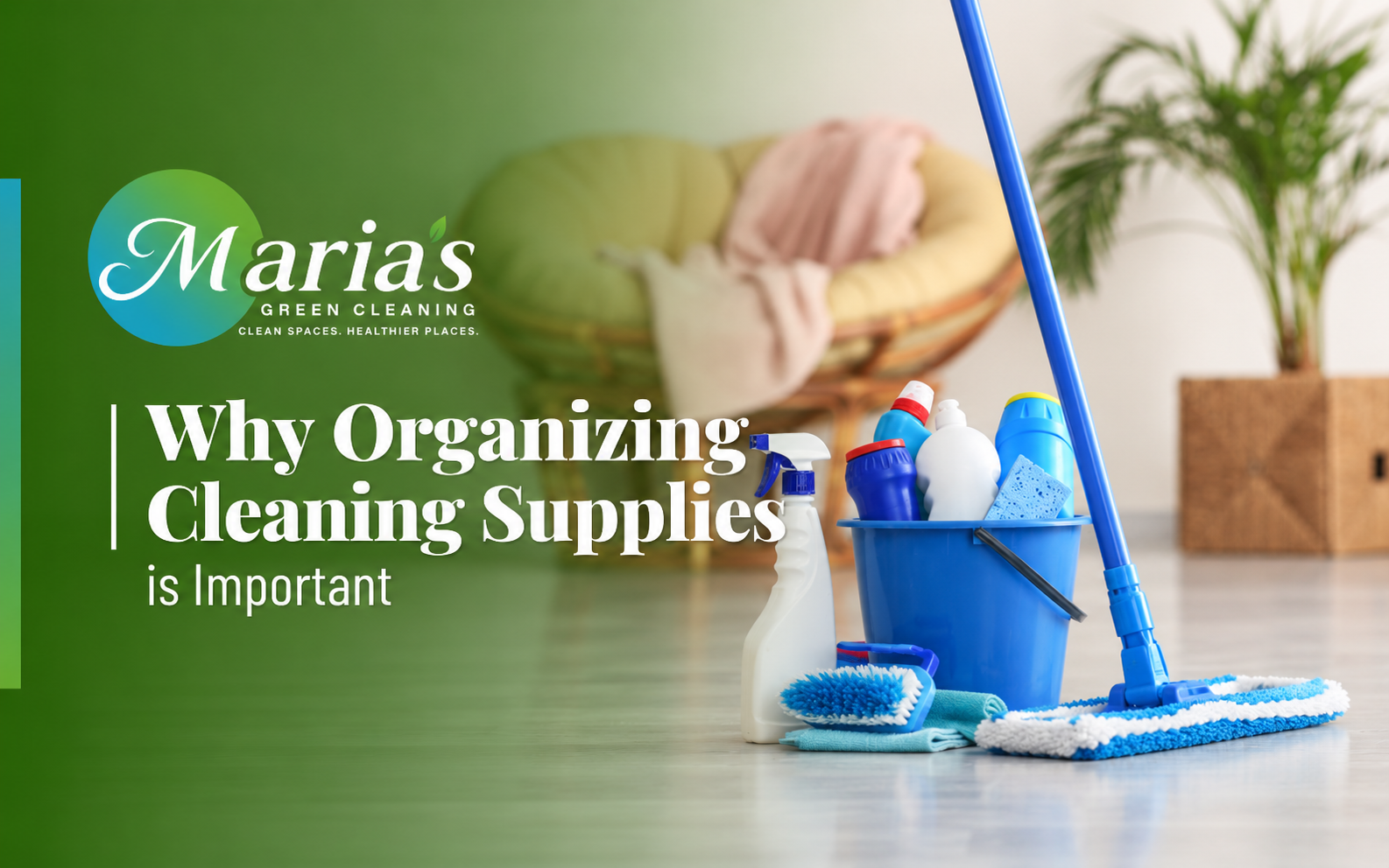 Eco-friendly cleaning supplies neatly organized