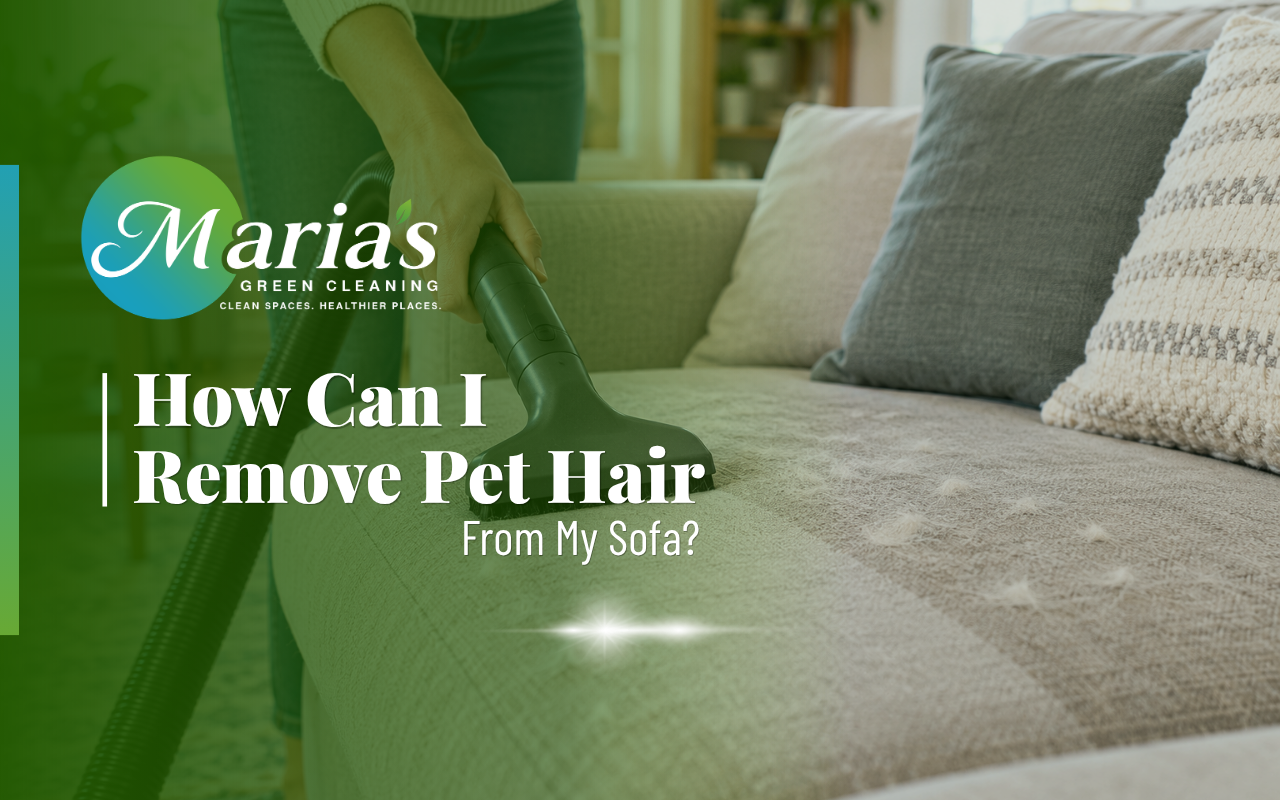 Pet hair removal from furniture using a vacuum on a fabric sofa
